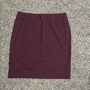 Elegant Purple Women's Skirt
